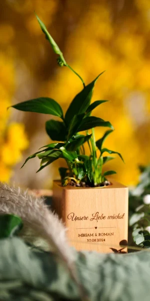 Haus-Esther-Homepage-Bild-1